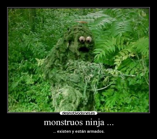 monstruos ninja ... - ... existen y están armados.