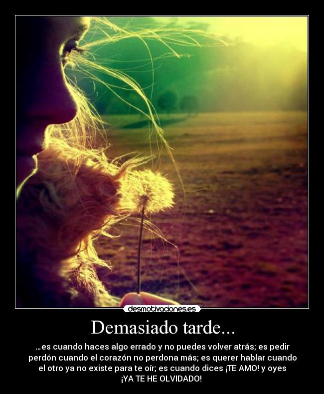 Demasiado tarde... -