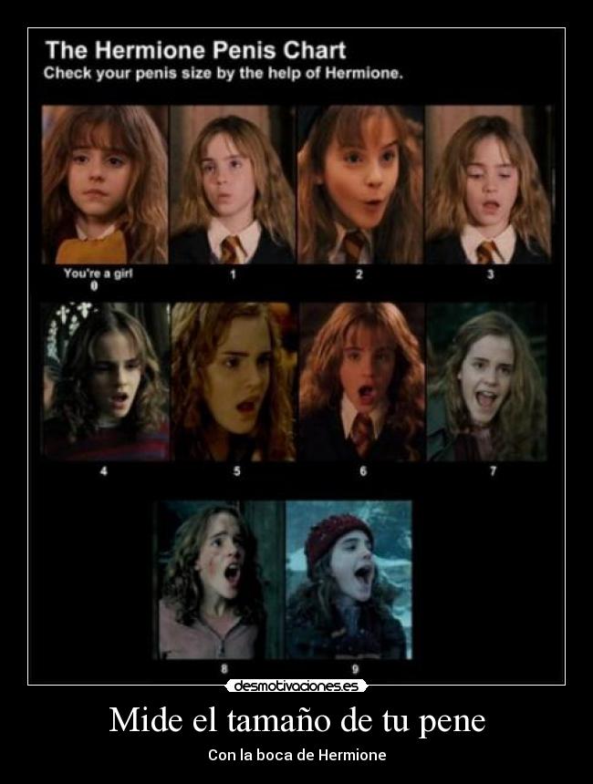 Mide el tamaño de tu pene - 