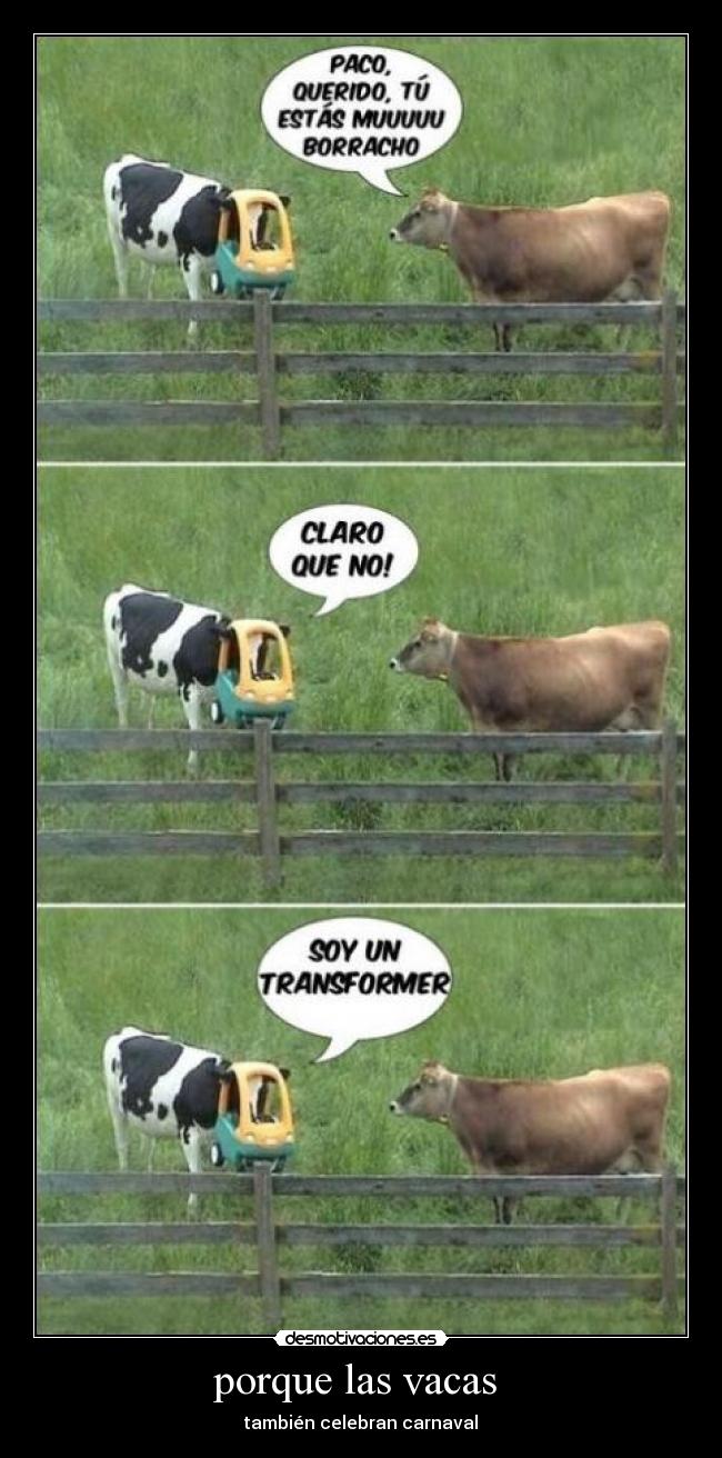 porque las vacas  - 