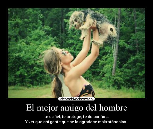 El mejor amigo del hombre - te es fiel, te protege, te da cariño ...
Y ver que ahi gente que se lo agradece maltratándolos..