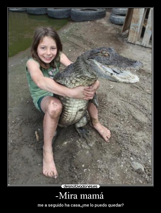 -Mira mamá  - 