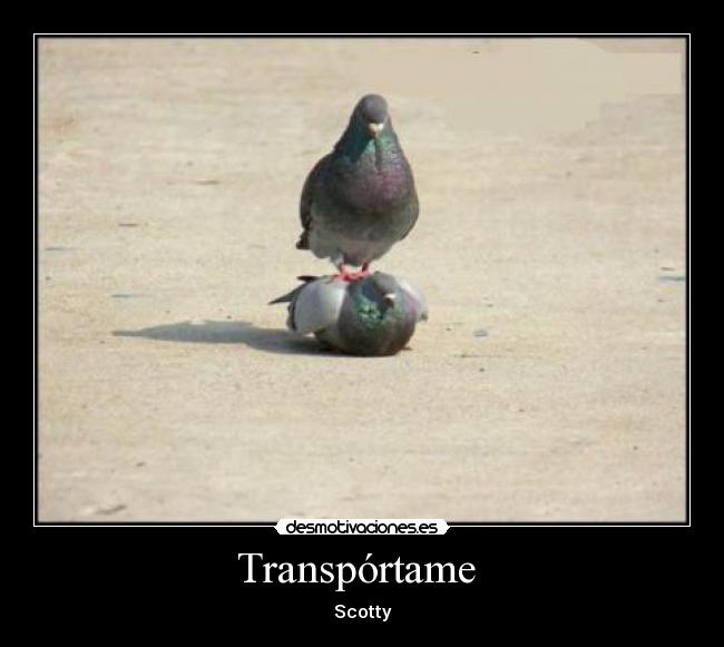 Transpórtame  - 