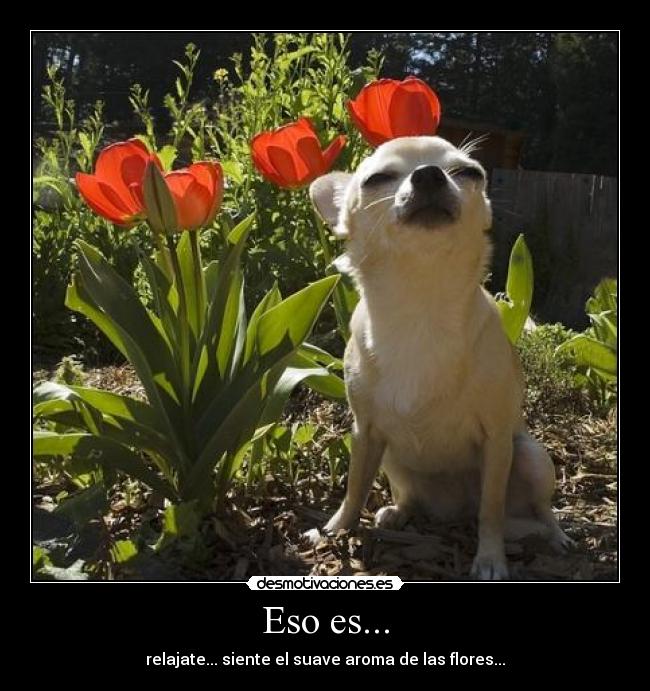 Eso es... - 