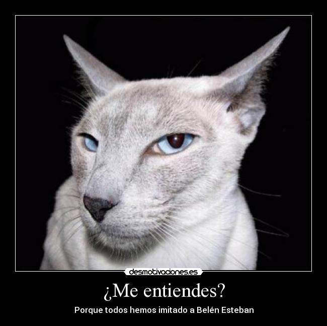 ¿Me entiendes? - Porque todos hemos imitado a Belén Esteban