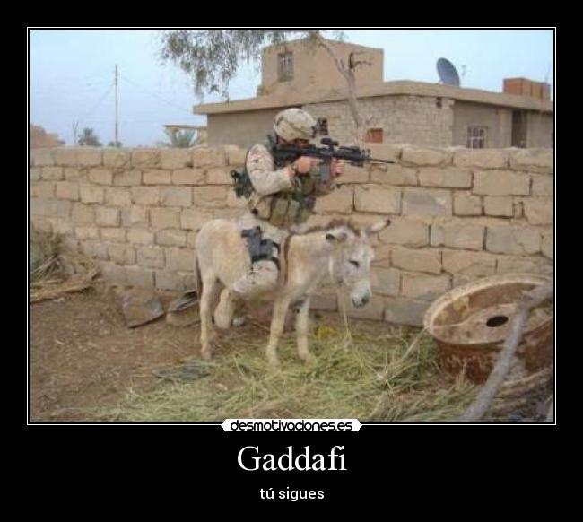 Gaddafi - 