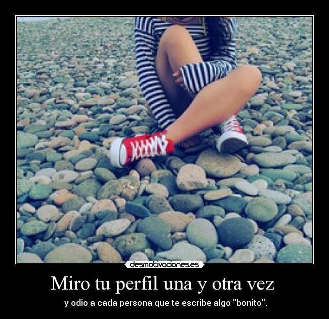 Miro tu perfil una y otra vez  - 