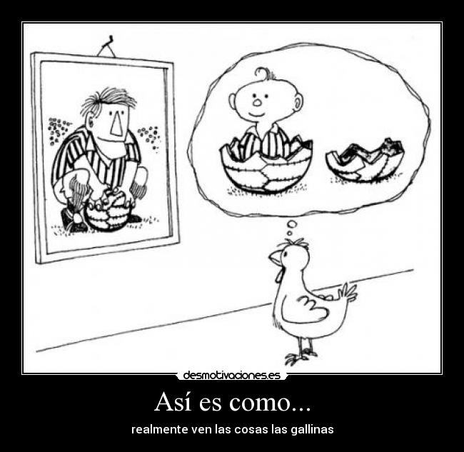 Así es como... - realmente ven las cosas las gallinas