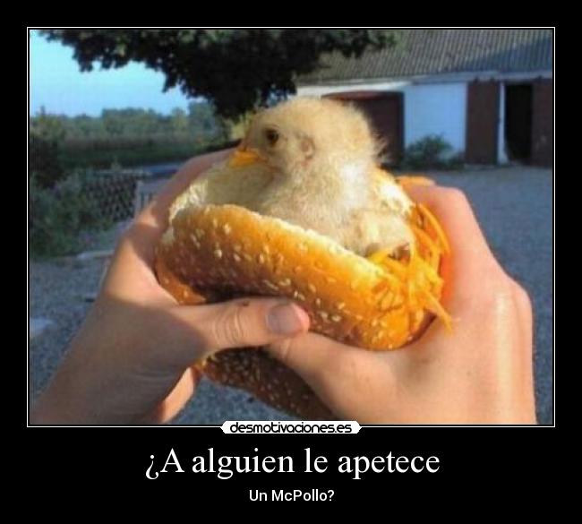¿A alguien le apetece - 