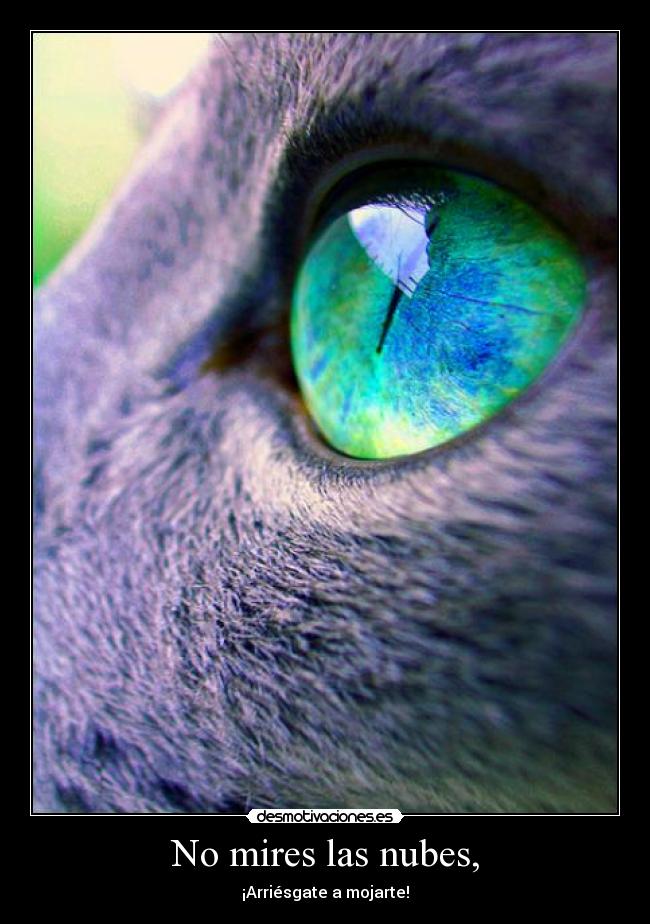 carteles mires las nubes arriesgate mojarte desmotivaciones