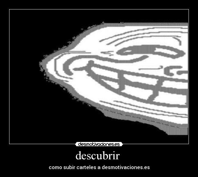 descubrir -