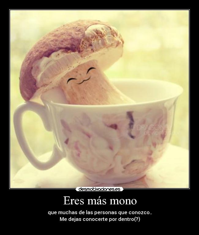 Eres más mono - 