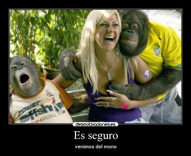 Es seguro - venimos del mono