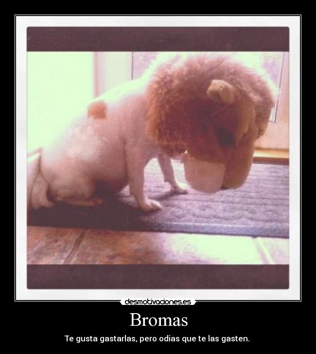 Bromas - 
