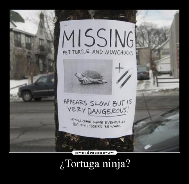 ¿Tortuga ninja? - 