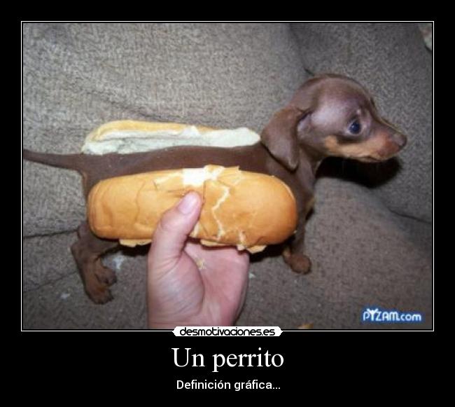 Un perrito - Definición gráfica...