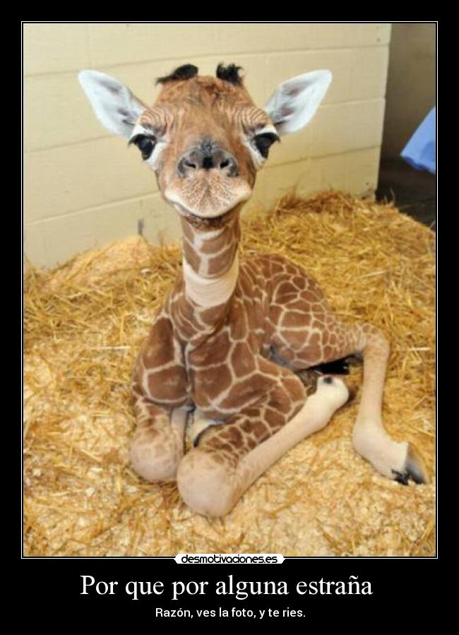 Por que por alguna estraña -