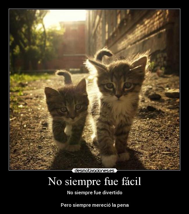 No siempre fue fácil - No siempre fue divertido

Pero siempre mereció la pena