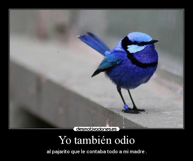 Yo también odio - al pajarito que le contaba todo a mi madre .