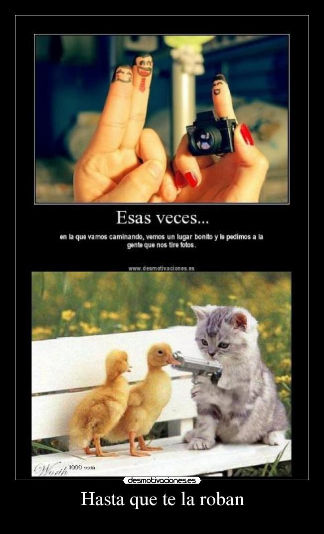 Hasta que te la roban - 