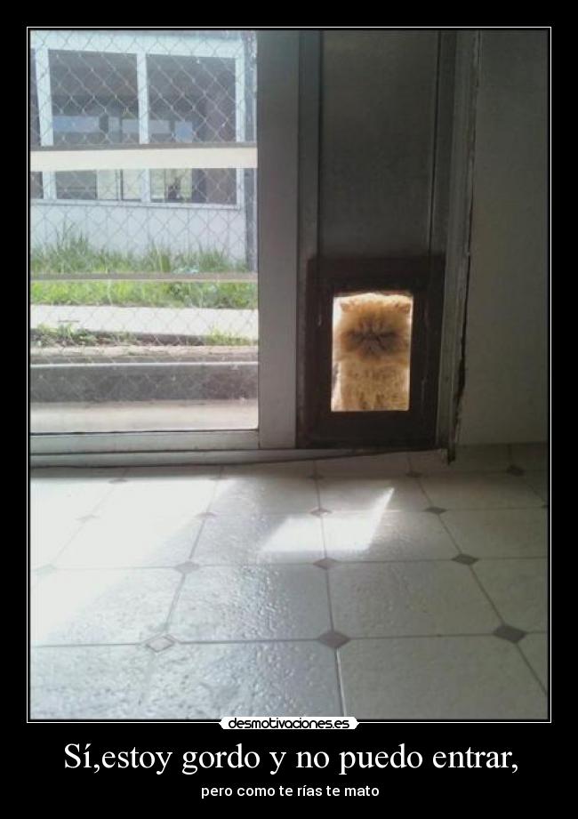 Sí,estoy gordo y no puedo entrar, - 