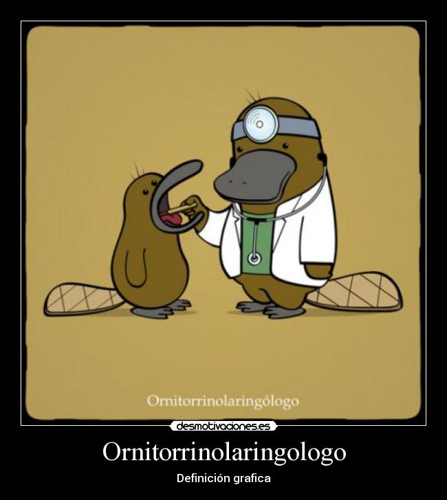 Ornitorrinolaringologo - Definición grafica