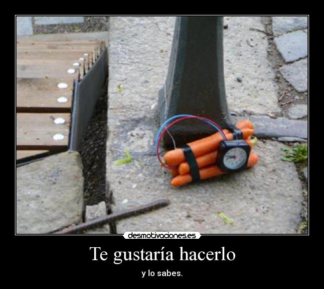 Te gustaría hacerlo - y lo sabes.