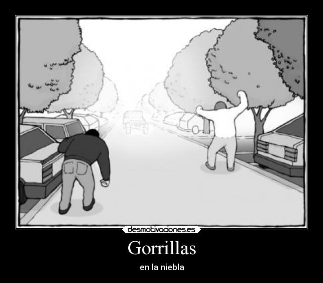 Gorrillas - en la niebla