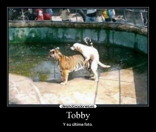 Tobby -