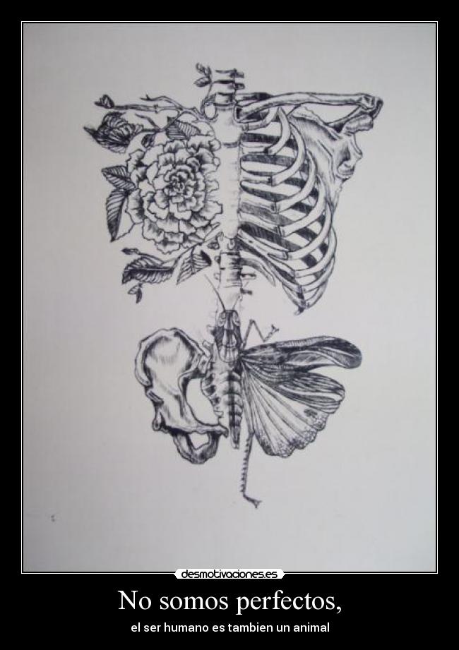 No somos perfectos, -