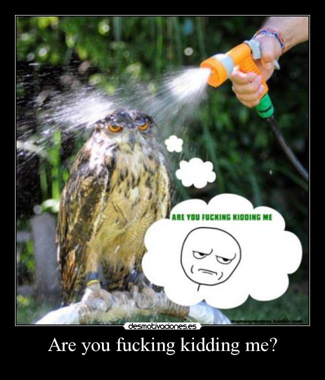 Are you fucking kidding me? -