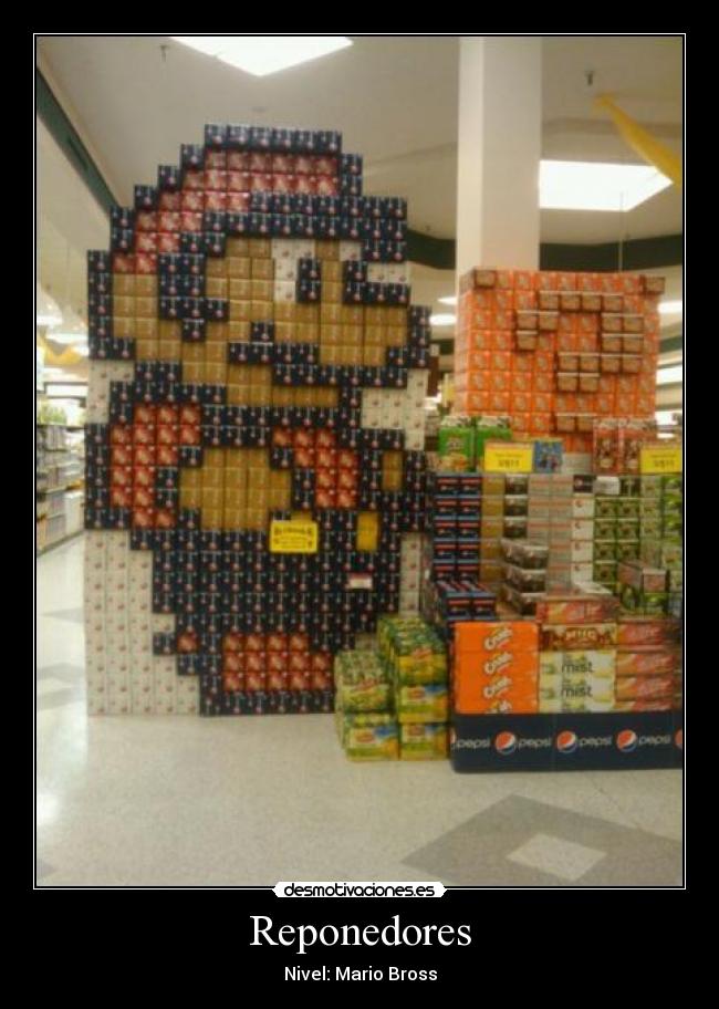 Reponedores - 