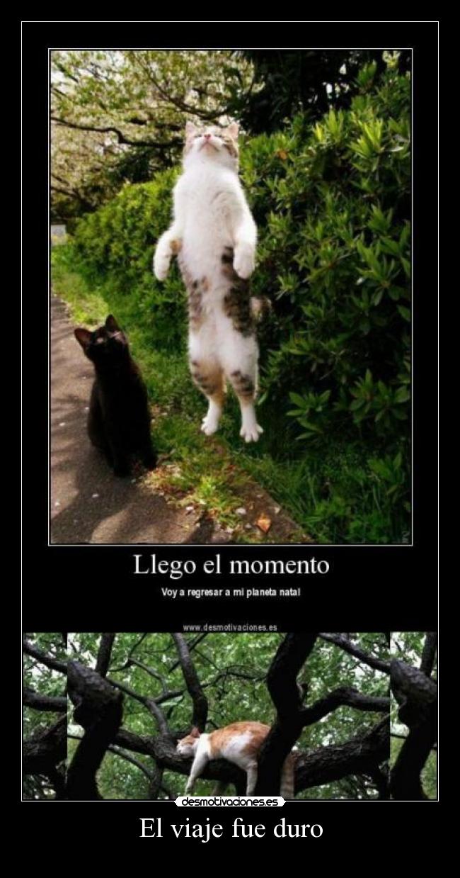 El viaje fue duro -