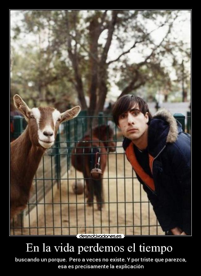 carteles vida mrtt desmotivaciones