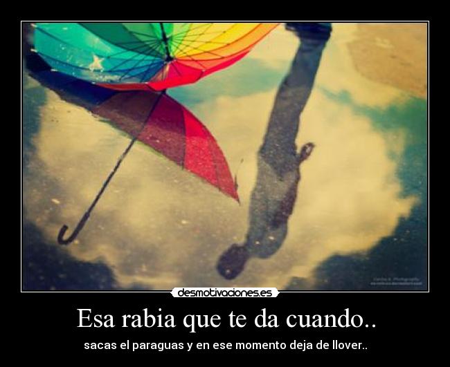 Esa rabia que te da cuando.. - sacas el paraguas y en ese momento deja de llover..