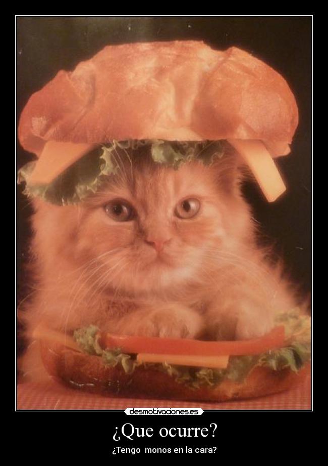 ¿Que ocurre? - ¿Tengo monos en la cara?