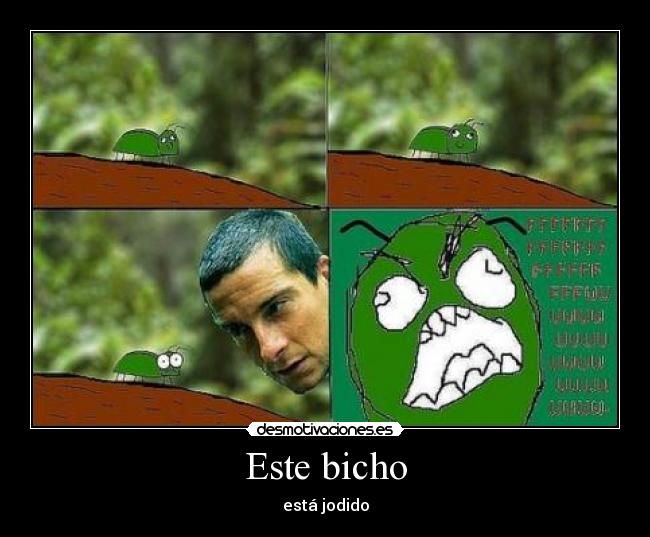 Este bicho - 