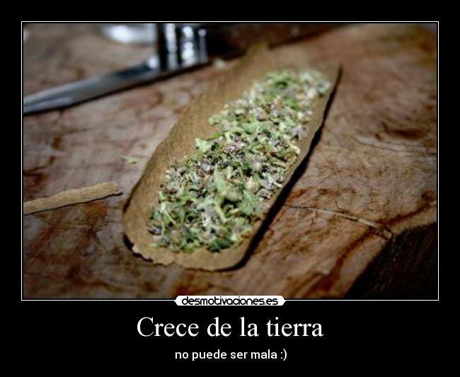 Crece de la tierra -