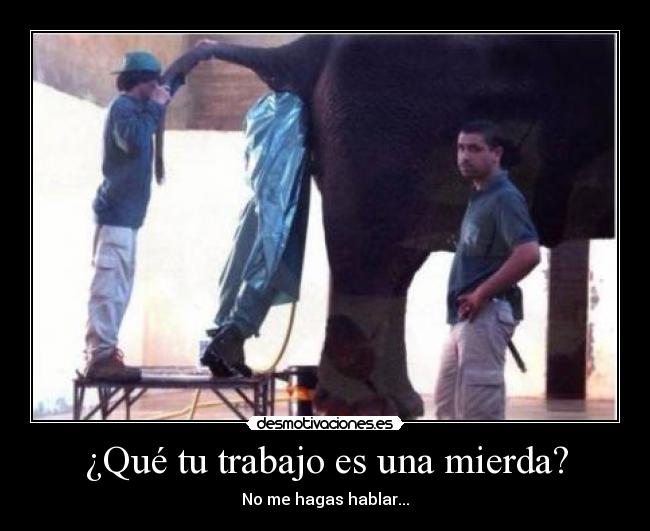 ¿Qué tu trabajo es una mierda? -