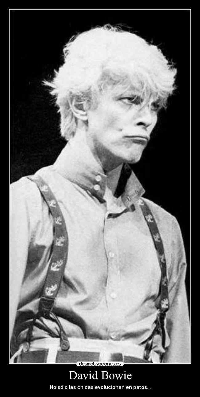 David Bowie - No sólo las chicas evolucionan en patos...