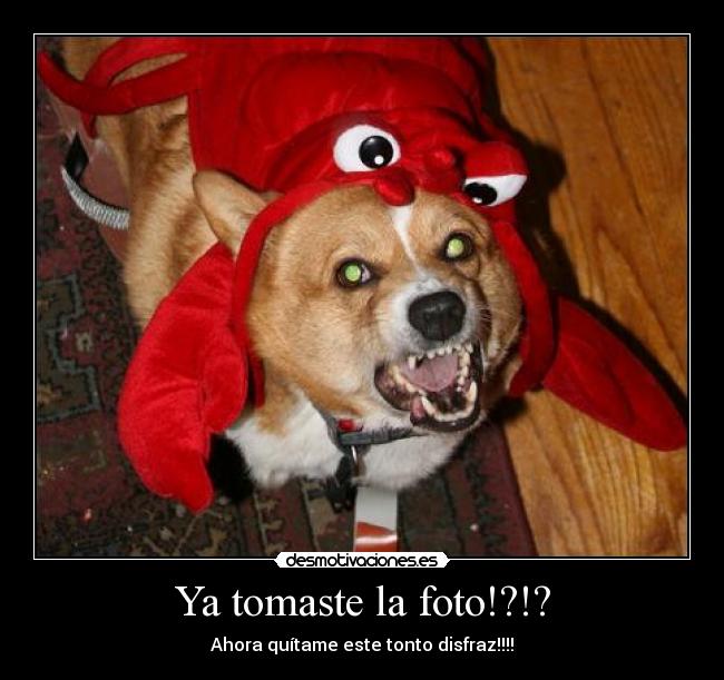 Ya tomaste la foto!?!? - 