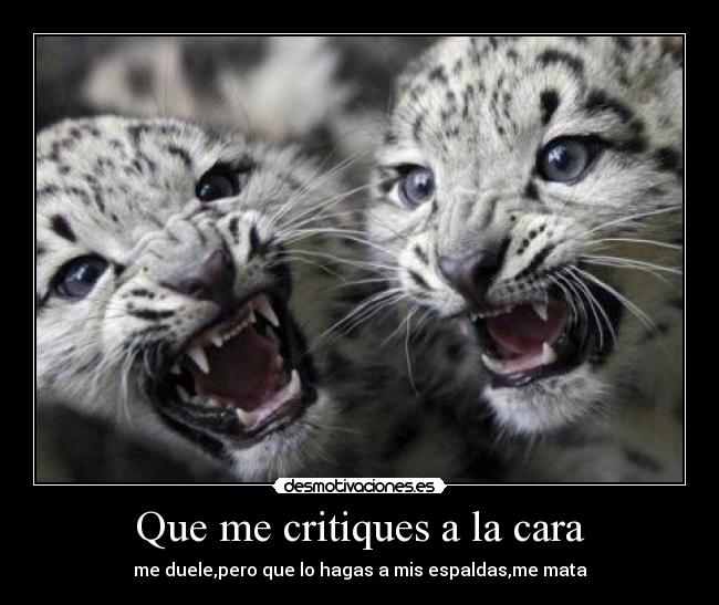 Que me critiques a la cara - 