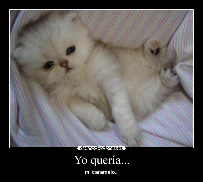 Yo quería... - 