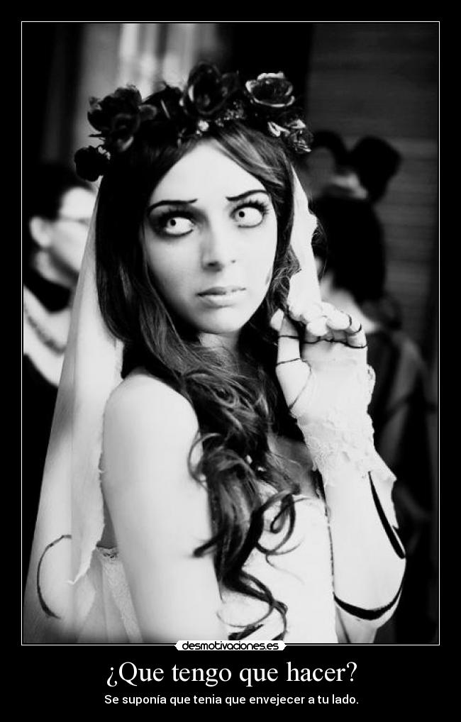 carteles mrtt desmotivaciones