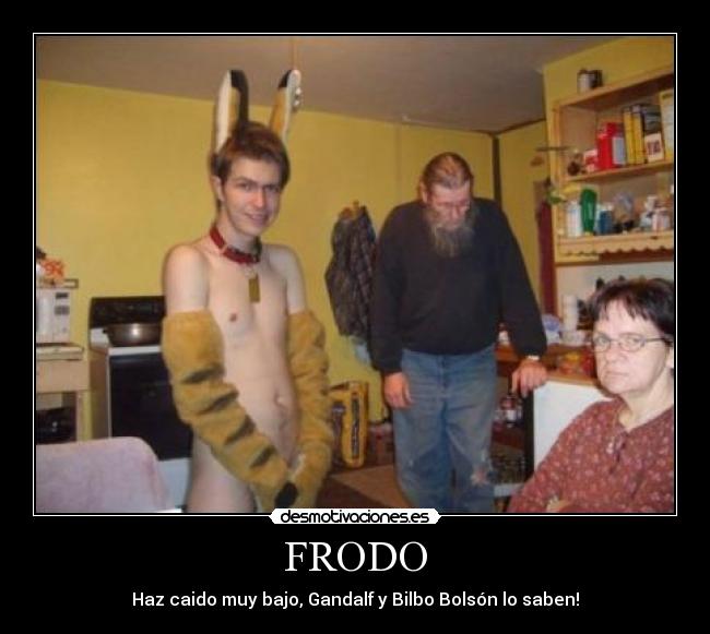 FRODO -