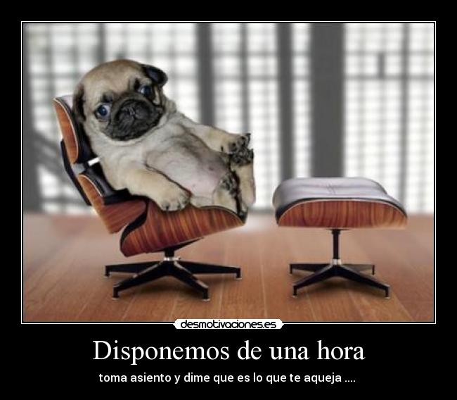 Disponemos de una hora - toma asiento y dime que es lo que te aqueja ....