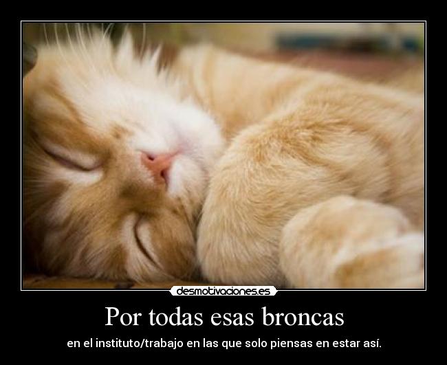 Por todas esas broncas - en el instituto/trabajo en las que solo piensas en estar así.