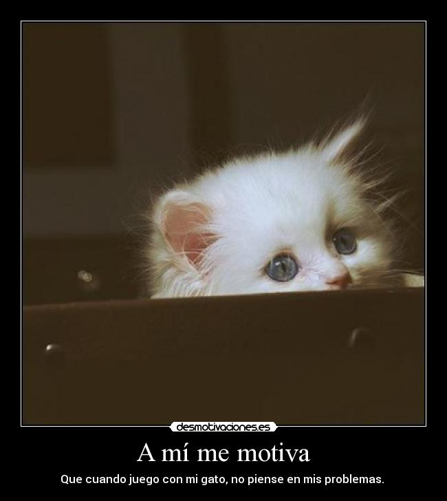 A mí me motiva - Que cuando juego con mi gato, no piense en mis problemas.