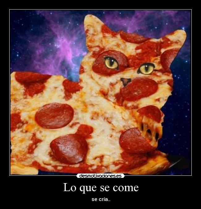 Lo que se come -
