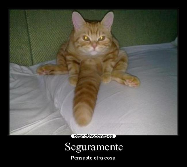 carteles seguramente desmotivaciones